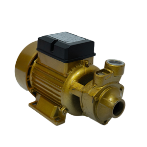 Electrobomba Bisonte 1” x 1” – 1 HP