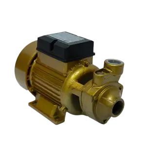 Electrobomba Bisonte 1” x 1” – 1 HP