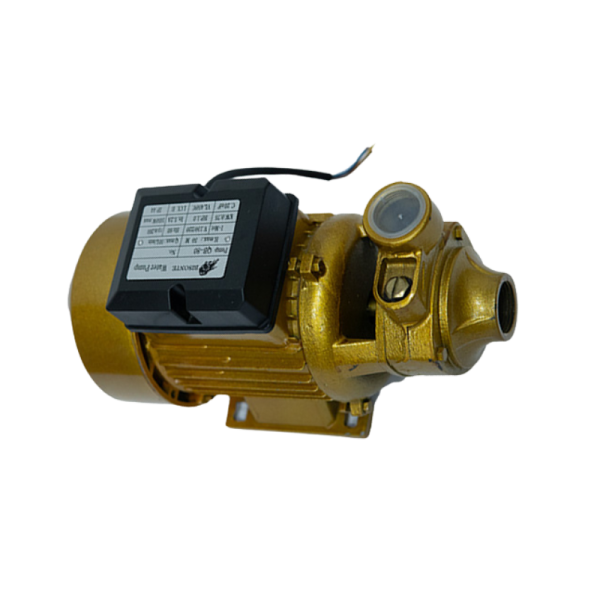Electrobomba Bisonte 1” x 1” – 1 HP - Imagen 2