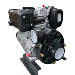 Motobomba ECOHORSE alta pression Diesel 3x3 10HP